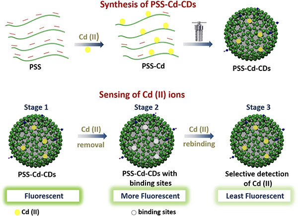 Schematic representation (not in scale) of the ion-imprinting strategy for Cd(II) ion sensing