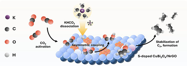graphical illustration of C2+ product formation from an electrocatalyst