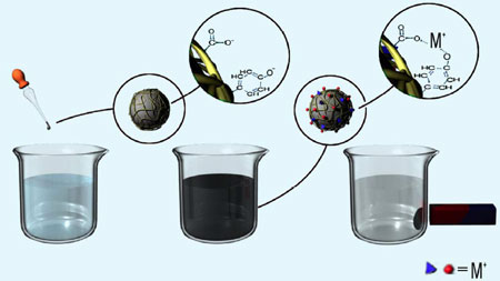removal of heavy metals with the humic acid coated magnetic iron nanoparticles