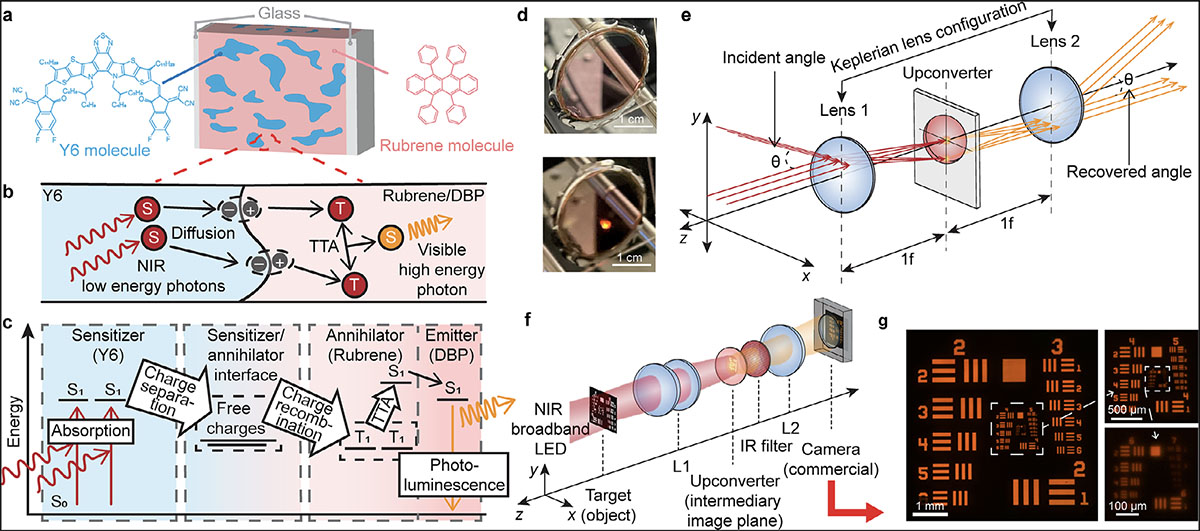 NIR-to-visible upconversion imaging using a bulk heterojunction thin film