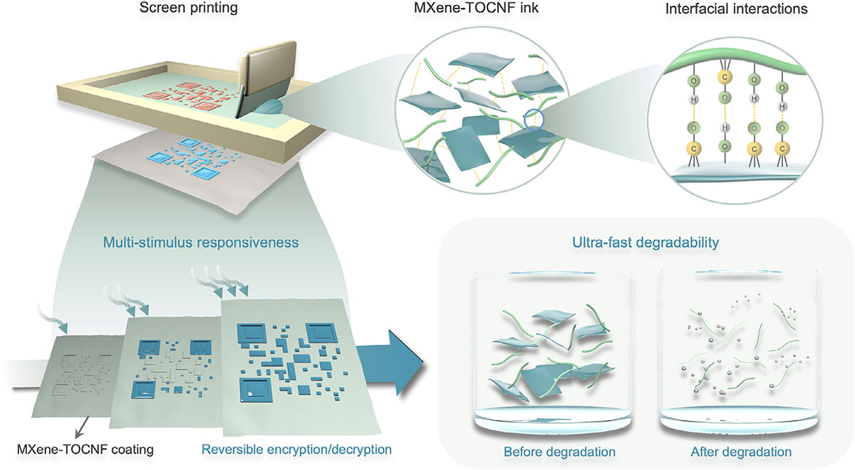 Schematic illustration of the MXene-TOCNF anti-counterfeiting device featuring extensive hydrogen bonding, enabling multi-stimuli responsiveness
and ultra-fast degradation