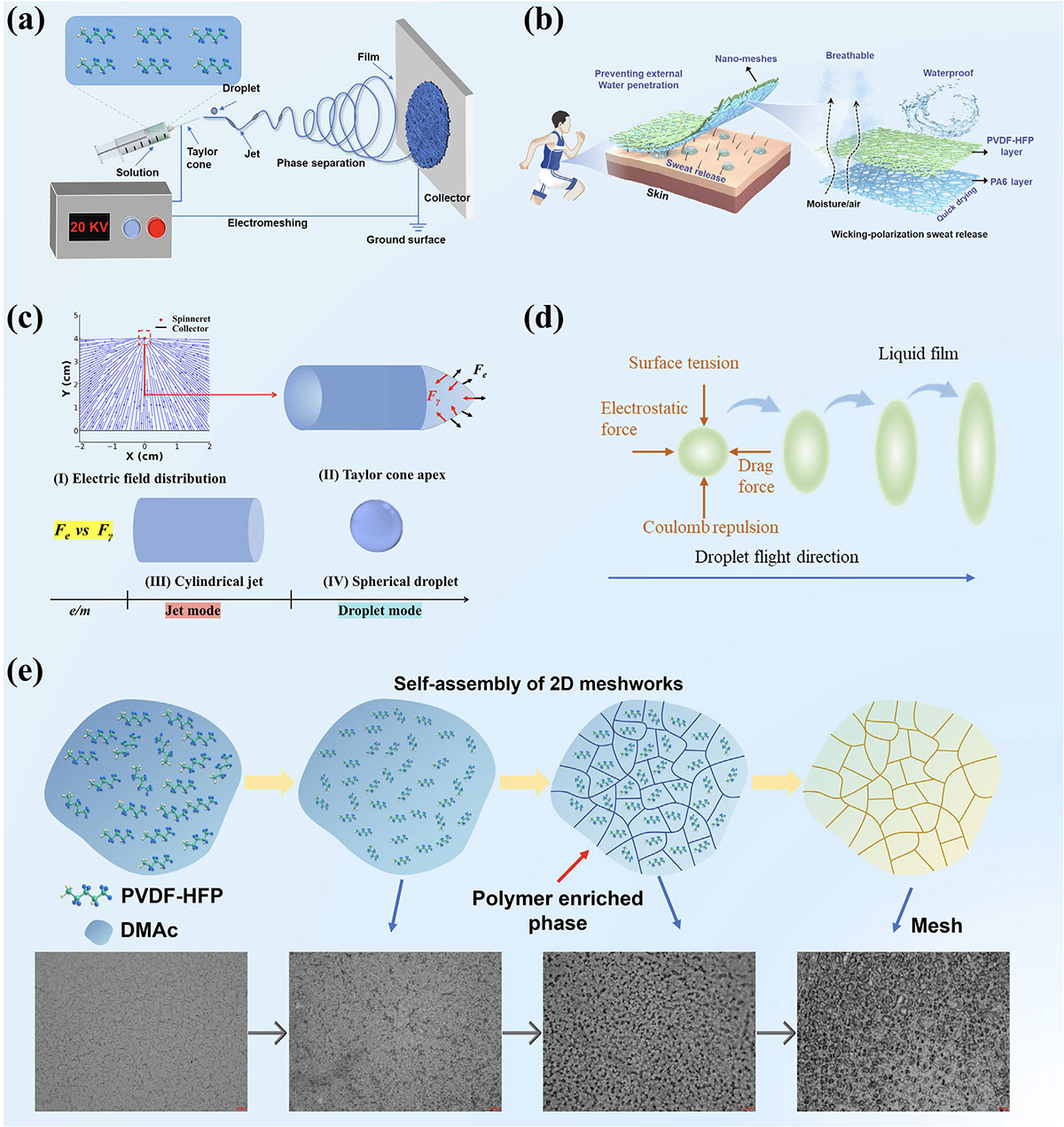 2D polymer nanonet
