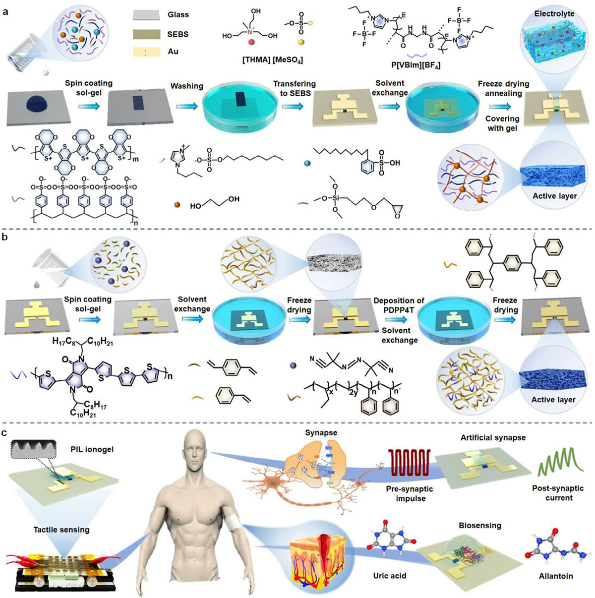 Fabrication and applications of organic electrochemical transistors (OECTs) based on PEDOT:PSS and PDPP-4T aerogels