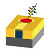 photodetector