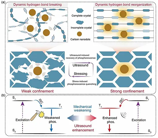Phenomenon and mechanism of the cyclodextrin-trapped carbon nanodots
