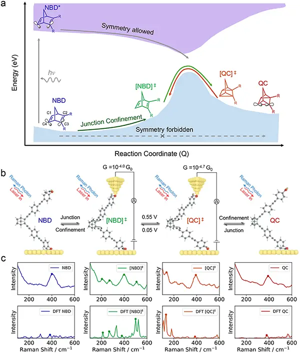 NBD-QC Reaction Pathways and Associated Raman Spectra