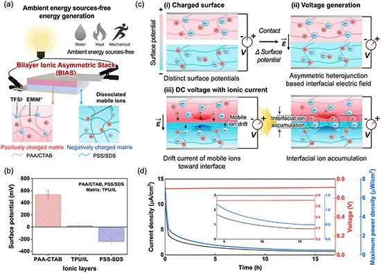 All-polymer bilayer ionic heterojunction generator operating independently of external energy sources