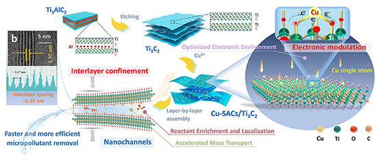 Schematic representation of the synthesis and architecture of Cu-SACs/MXene nanochannels