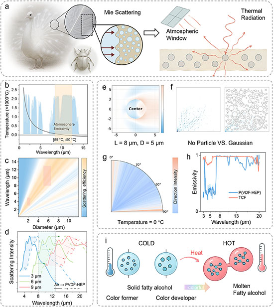 Particle-size–selective thermochromic microcapsule strategy for radiative thermal management