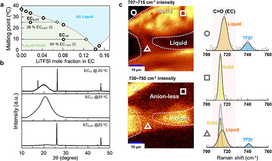 Coexisting phases in frozen electrolytes
