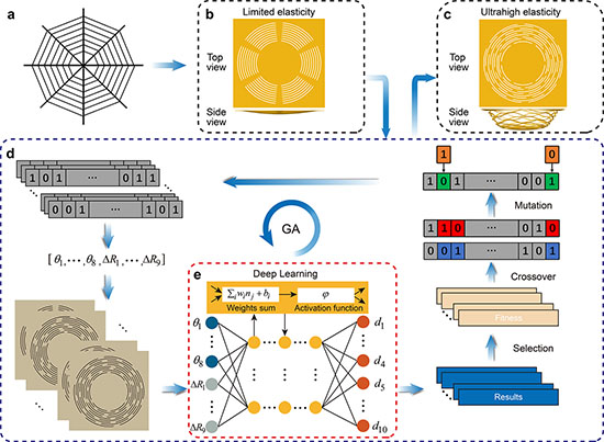 Conceptual design of ultra-elastic web structures (ultraweb)