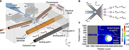 microfluidic device and its operation for cell sorting