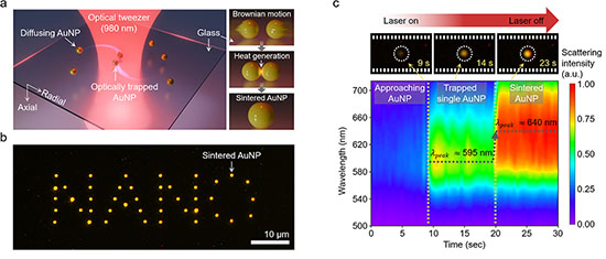Optical nanopatterning via sintering of gold nanoparticles using an optical tweezer system