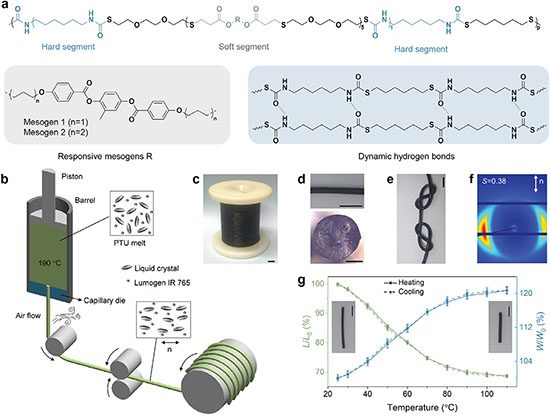 Fabrication of the NIR light–responsive thermoplastic PTU LCE fibers