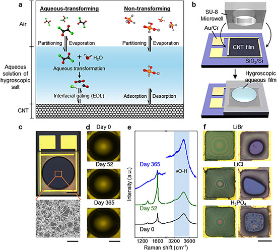 CNT chemiresistors with stable hygroscopic aqueous films