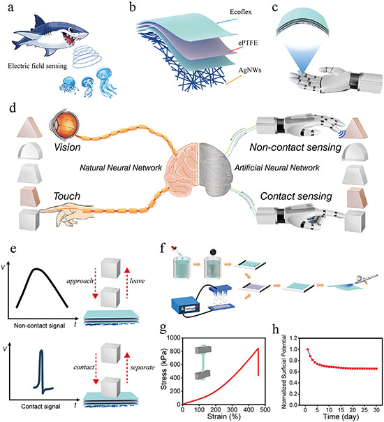 Electrostatic Enhanced Dual-Mode Electronic Skin for Multifunctional Robotic Hands