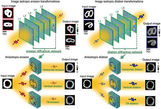 A free-space optical diffractive processor performs morphological transformations directly on incoming wavefronts
