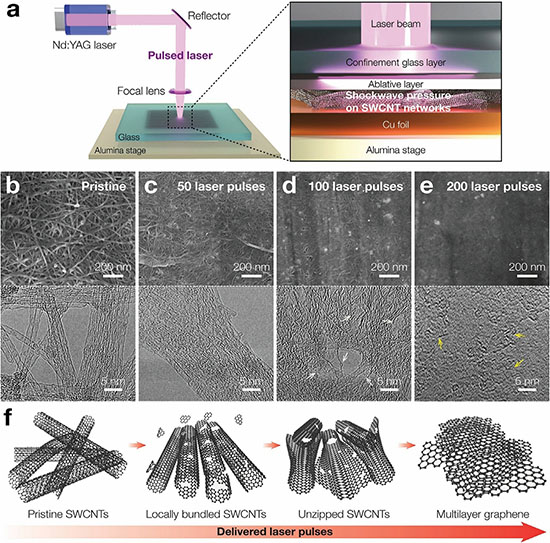 orphological and structural evolution of SWCNT networks after laser-induced shockwave compaction