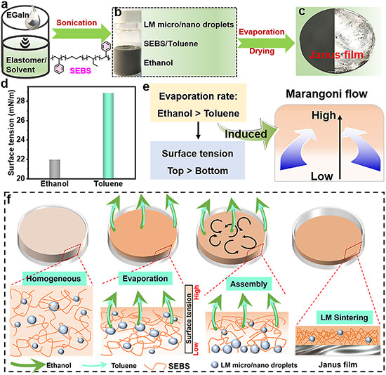 Design and fabrication of Janus liquid metal film