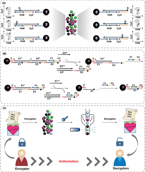 Schematic diagram of information encryption platform