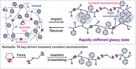 Conceptual illustration of the nomadic molecular key-driven impact-stiffening strategy and its working mechanism for the ultrahigh impact-stiffening response