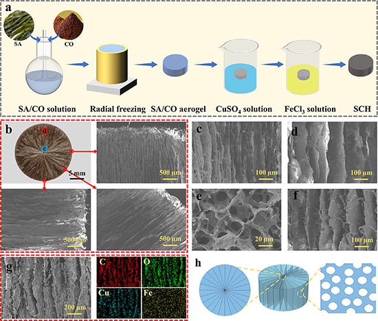 Fabrication process of a porous hydrogel-based evaporator