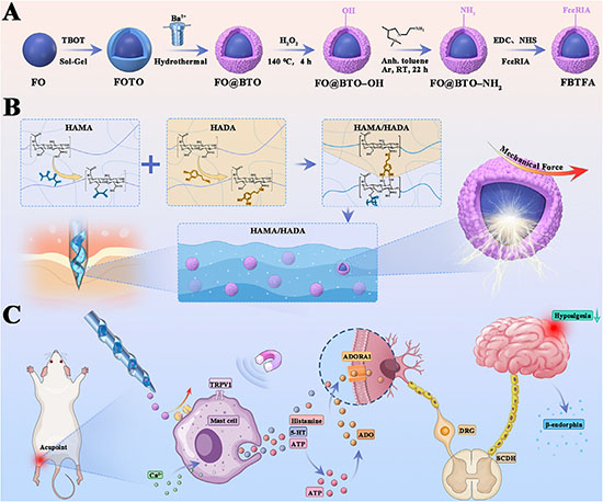 Composition and analgesic mechanism of the magnetoelectric hydrogel acupuncture system