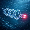 microrobot
