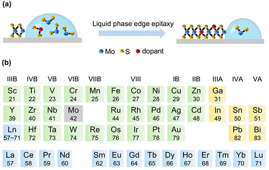 Illustration of the preparation of doped MoS2 monolayers by liquid phase edge epitaxy (LPEE) method