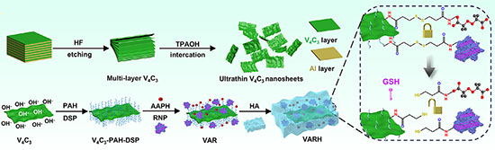 CRISPR/Cas9‐Based Vanadium MXene‐Free Radical Spatiotemporally Controlled Nanoreactor for Photothermal‐Induced Multi‐Effect Synergistic Antitumor Therapy