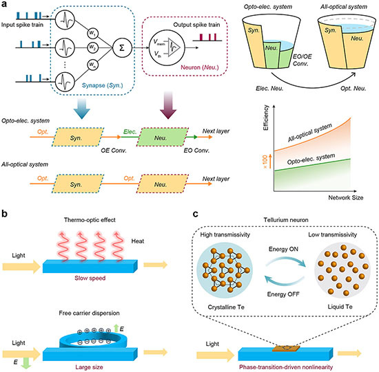 All-optical neurons