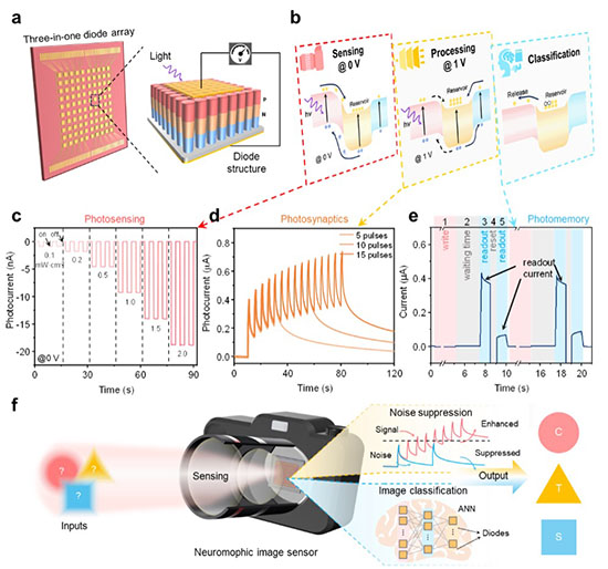 Performance of the integrated sensing-memory-processing diode