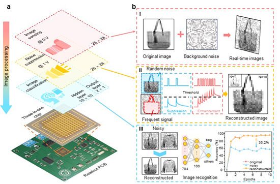 Demonstration of neuromorphic imaging based on the integrated sensing-memory-processing diode array
