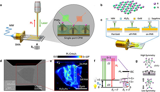 Schematic of the quantum-sensing prototype device featuring a nanostructured plasmon-strain coplanar (gold) waveguide coupled to an SMA connector for microwave driving