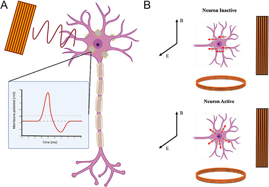 Physics of neuromodulation and recording