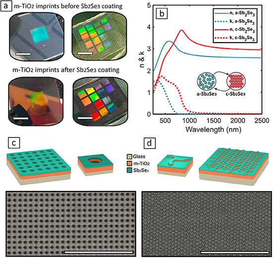 Schematics, optical properties, and morphology of large-scale nanoimprinted phase-change metasurfaces (a) Optical images of m-TiO2 imprinted arrays before (top) and after (bottom) deposition of Sb2