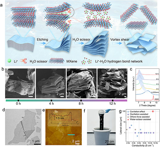 Mechanism and scalability of the water-mediated exfoliation strategy for MXene