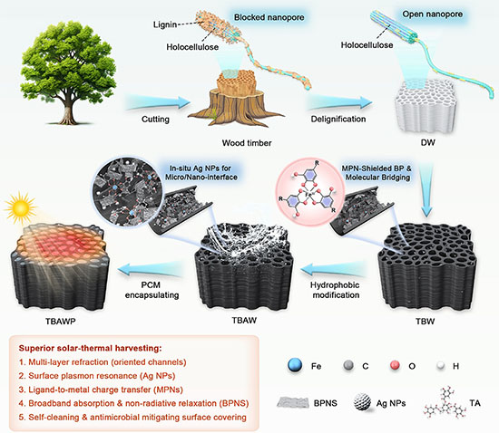 Design of interface-engineered wood-based composite phase change materials for solar-thermal energy conversion