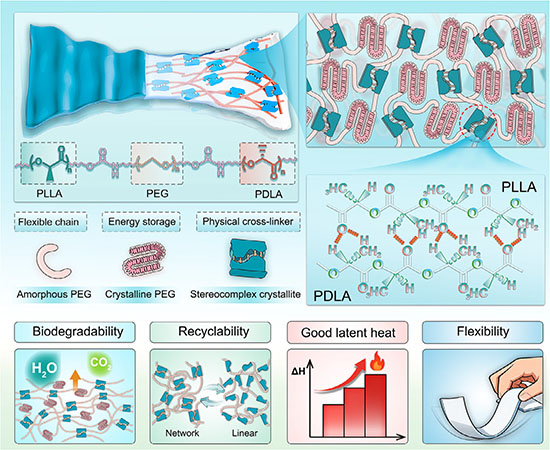 Schematic of the synthetic olid-solid phase change material architecture featuring sc-PLA physical crosslinks