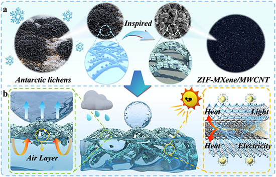 Antarctic lichen-inspired ZIF-MXene/MWCNT all-weather anti-/de-icing coating