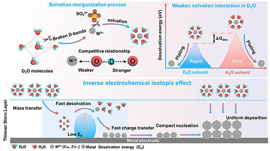 Proposed solvent isotope mechanism for improved metal electrodeposition in D2O-based electrolytes