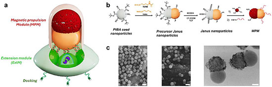 Generation of multiplex nanorobot with dual-module architecture