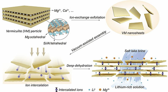 Schematic illustration of the ion intercalated dehydrated vermiculite membranes for Li+ extraction