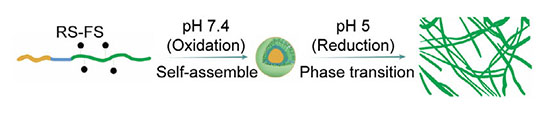peptide combining a liver cancer-targeting segment with nanosphere-forming and fiber-forming segments
