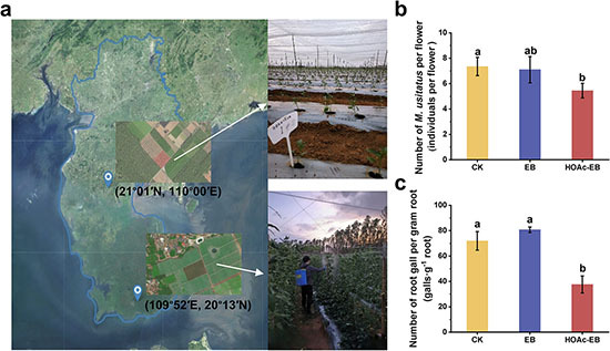 experiments show that smaller pesticide particles can improve control when they overcome a specific delivery barrier, such as soil binding, but they do not automatically improve every field outcome