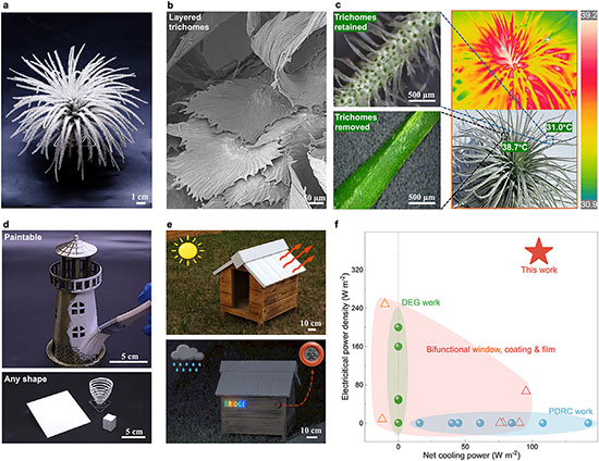 Bioinspired bifunctional stratified design, deployment, and benchmarking of BRIDGE skin
