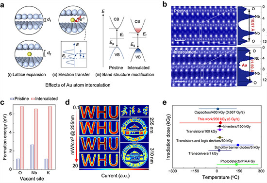 Hetero-atoms interlayering technology achieves high-temperature and radiation-resistant vdW optoelectronic devices