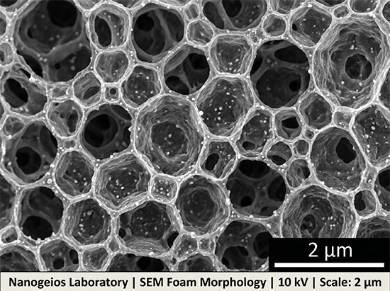 SEM foam morphology of a nitrogen nanofoam
