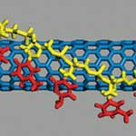 DNA_wrapped_carbon_nanotube