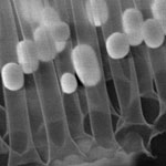 nanoparticles_inside_nanotube